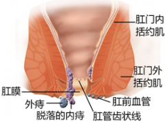 福州医博肛泰肛肠医院预约挂号