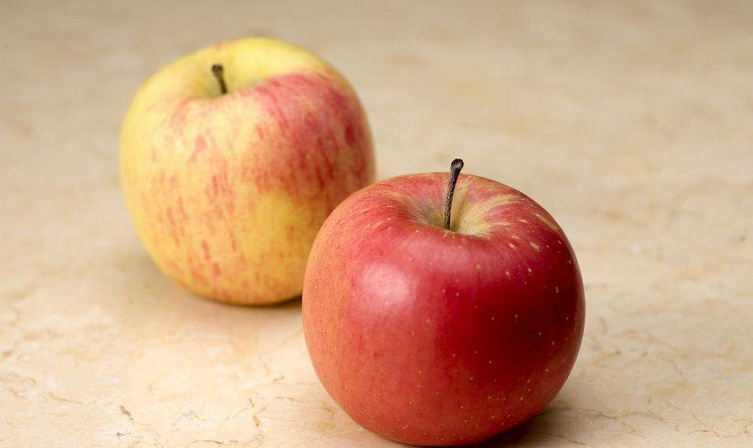 慢性结肠炎能不能吃苹果？